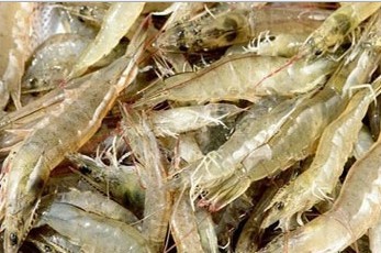 �����r�������r